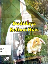 Budidaya Kelinci Hias
